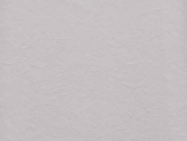 Leather Upholstery 南亞呼吸系列 皮革 沙發皮革 3853 淺灰色